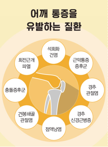 컨텐츠 이미지