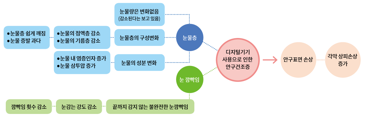 눈물층 > 눈물층 쉽게 깨짐 눈물 증발 과다 | 눈물의 점액층 감소 눈물의 기름층 감소 | 눈물 내 염증인자 증가 눈물 삼투압 증가 | 눈물량은 변화없음 (감소된다는 보고 있음) | 눈물층의 구성변화 | 눈물의 성분 변화 | 눈깜빡임 > 깜빡임 횟수 감소 | 눈감는 강도 감소 | 끝까지 감지 않는 불완전한 눈깜빡임 > 디지털기기 사용으로 인한 안구건조증 > 안구표면 손상 > 각막 상피손상 증가 