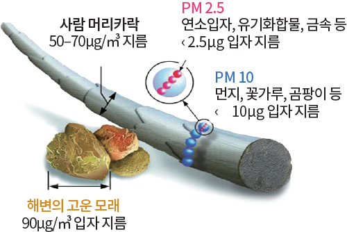 사람 머리카락 50–70μg/㎥ 지름 PM 2.5 연소입자, 유기화합물, 금속 등 < 2.5μg 입자 지름 PM 10 먼지, 꽃가루, 곰팡이 등 < 10μg 입자 지름 해변의 고운 모래 90μg/㎥ 입자 지름