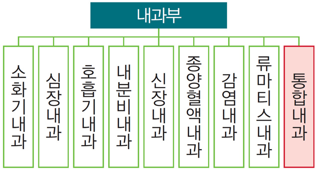 내과부 - 소화기내과, 심장내과, 호흡기내과, 내분비내과, 신장내과, 종양혈액내과, 감염내과, 류마티스내과, 통함내과