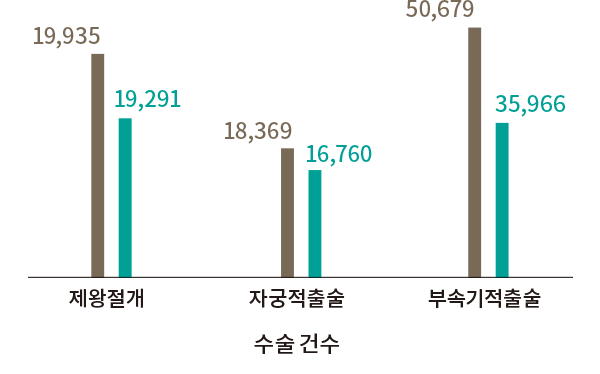 제왕절개 수술 건수  자궁적출술 부속기적출술 19,935 19,291 18,369 16,760 50,679 35,966